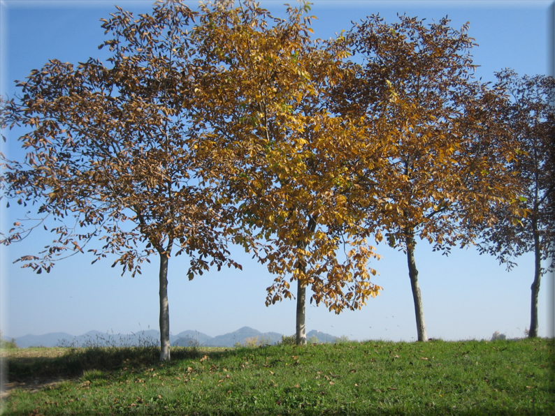 foto Paesaggi Autunnali 